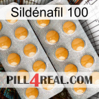 Sildénafil 100 levitra2
